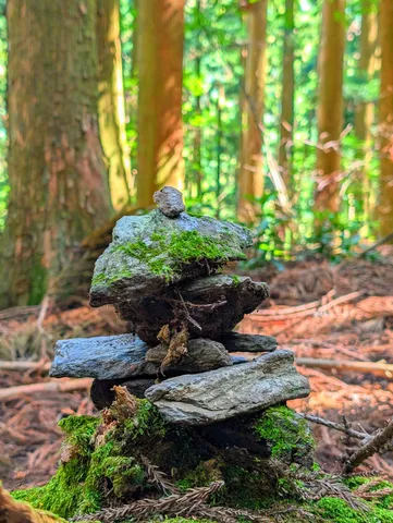 苔むす森の小道標