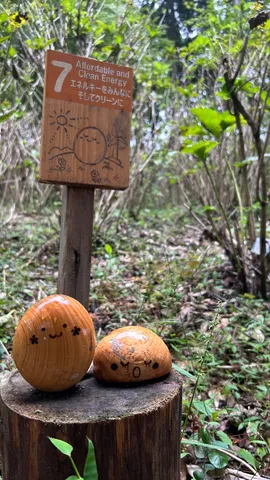 木と看板のほっこり風景