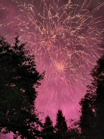 夜空を染める花火