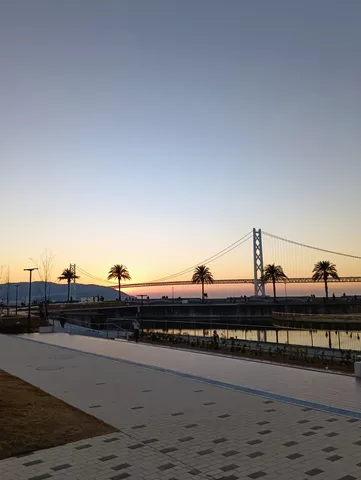 夕暮れの海辺、橋とヤシの木