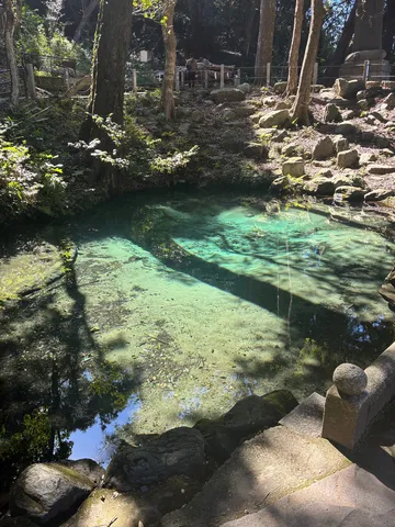 木陰の透きとおる泉