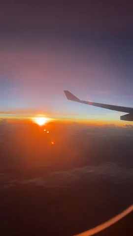 翼と夕焼け、空の旅。