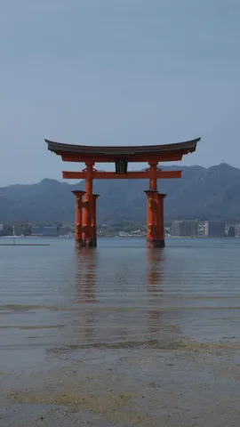 海に浮かぶ朱色の鳥居