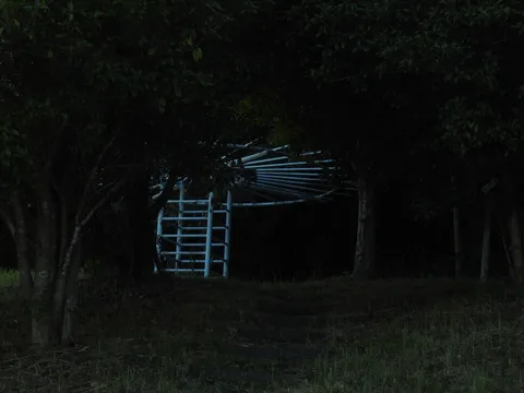 森の奥の秘密基地
