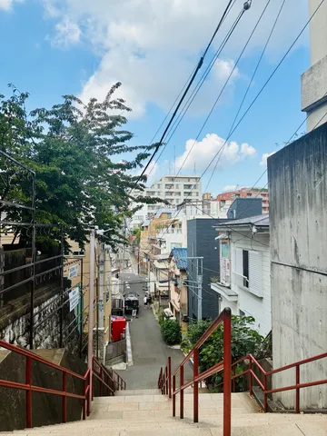 坂道に迷い込んだ猫の気分