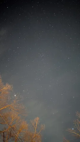 星空にひらく夜の静寂