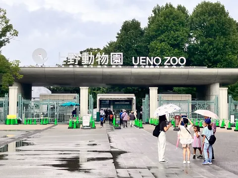 雨の日の動物園ゲート