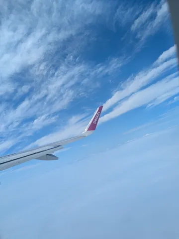 青空と翼のすみれ色の可視化