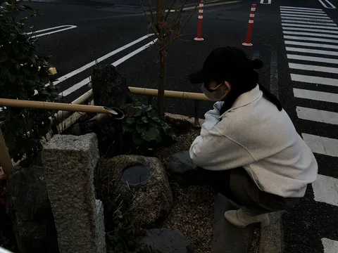 都市と自然の交錯