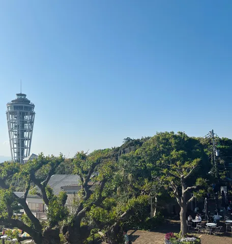 青空とタワー、緑のコントラスト