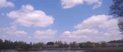 春の訪れ、湖畔の淡い彩り
