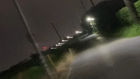 夜路に灯る薄霧の道