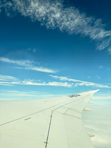 機上からの広がる青い空