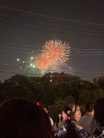 夏祭りの夜空に咲く大輪の花