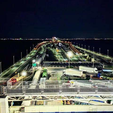夜空と光の海を渡る未来都市