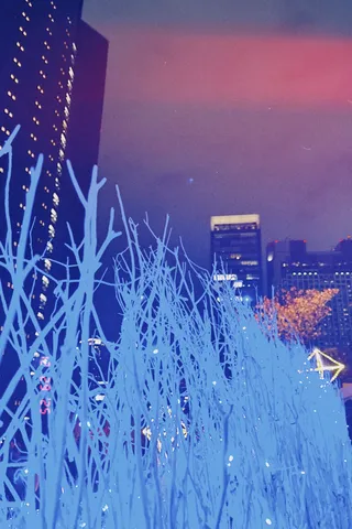 幻想的な都会の夜景と冬の枝
