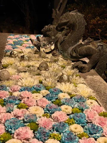 夜を彩る龍と花の静景