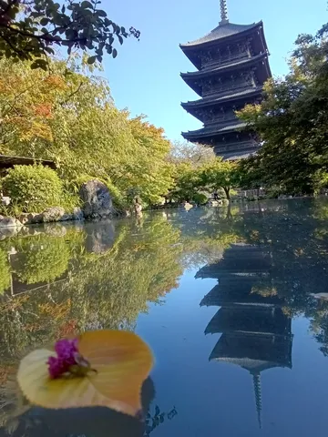 水面に映る五重塔の秋景