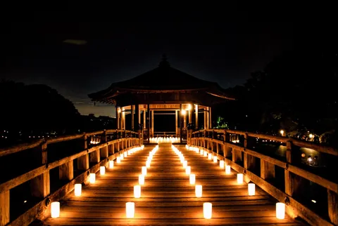 光が導く夜の橋