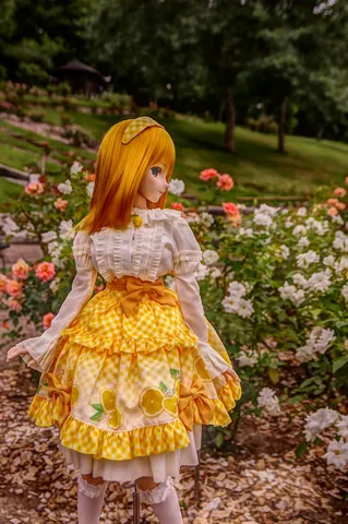 花園に咲く黄色の物語