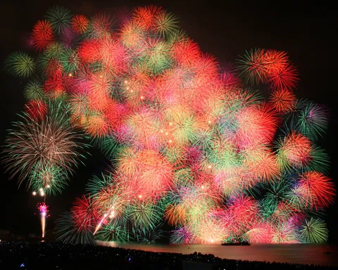 夜空に咲き乱れる大輪の花
