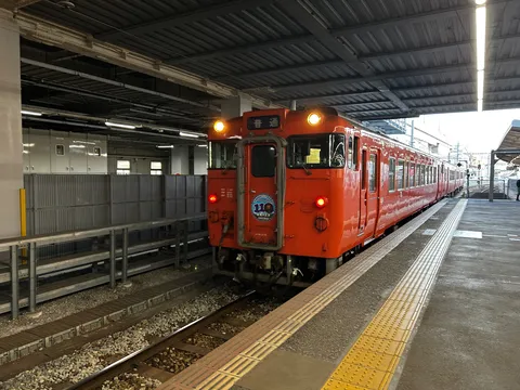 普通列車なのに、視線独り占め