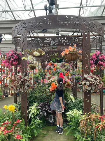 花と光が織りなす夢