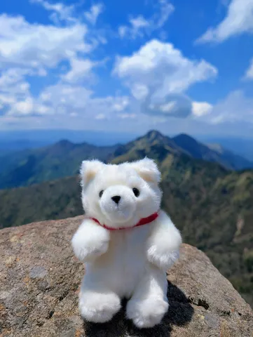 テディベアと広がる絶景