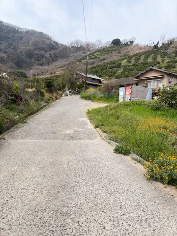 坂道の先に広がる田舎の風景