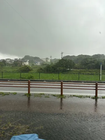 雨上がりの静かな田園風景