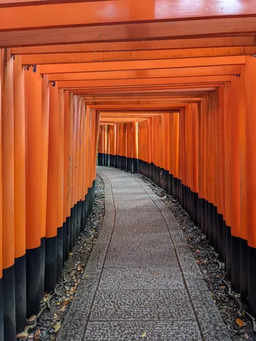朱に染まる参道の奥へ