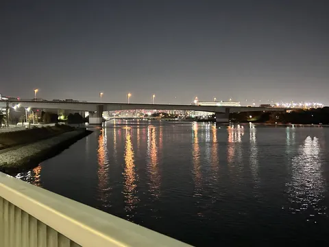 夜景に溶ける光の川