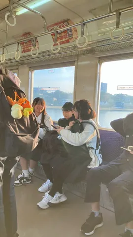 日常の旅路、静かな調べ