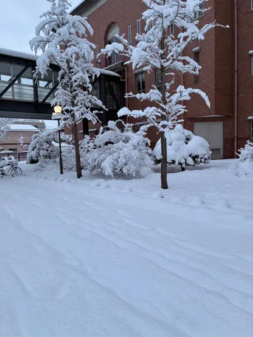雪化粧のキャンパス