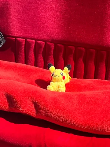 ぽつんとピカチュウ