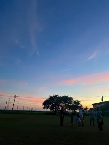 夕暮れに佇む、柔らかな光の宴
