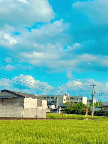 空と麦畑、日常の風景