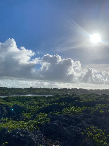 岩肌に緑、太陽の光
