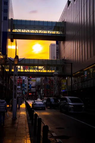 ビル間の夕日、輝く街路