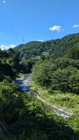 新緑の渓流と夏の空