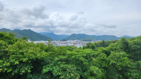 緑の向こうに城下町