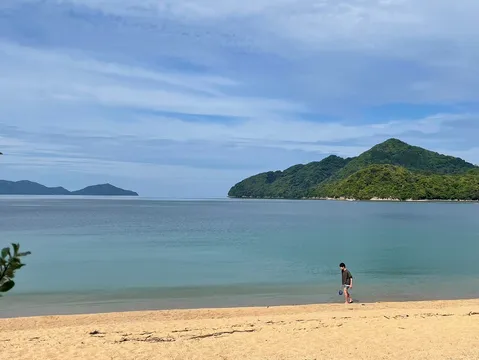 The Sea of Tango