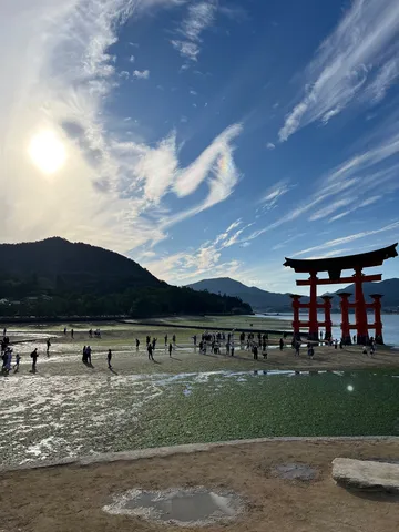 潮干狩りならぬ鳥居狩り？