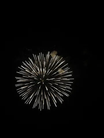 夜空を彩る光の花