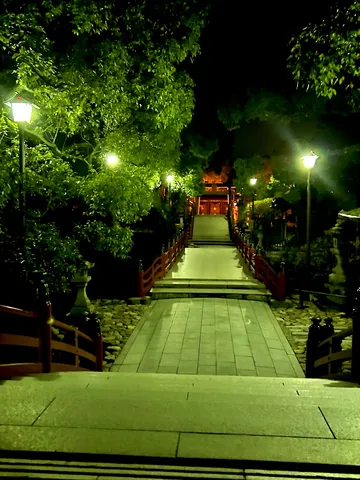 灯りに誘われる夜の参道