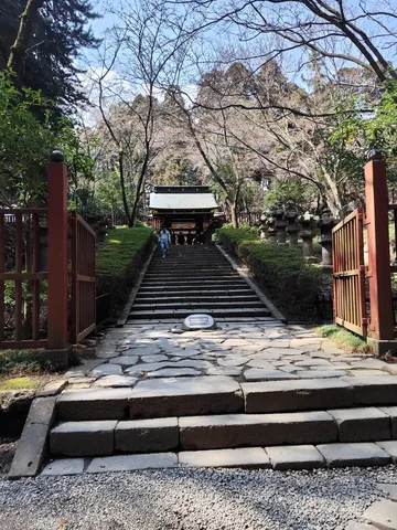 階段が誘う神社の朝