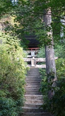 緑の階段と祈りの静寂