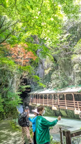 緑と水の静かな回廊