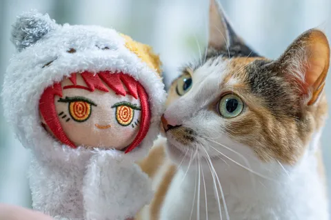 ふたつの瞳のとなりで