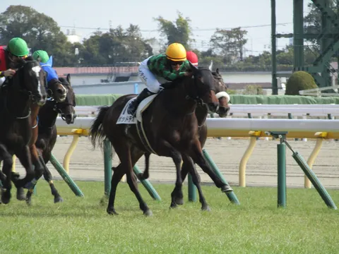 ターフを駆ける馬たち
